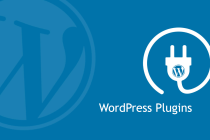 WP-Plugin